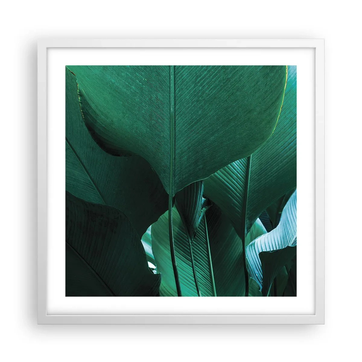 Poszter fekete keretben - A fény felé nézve - 50x50 cm