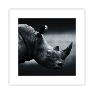 Poszter - Jobb profil - 30x30 cm