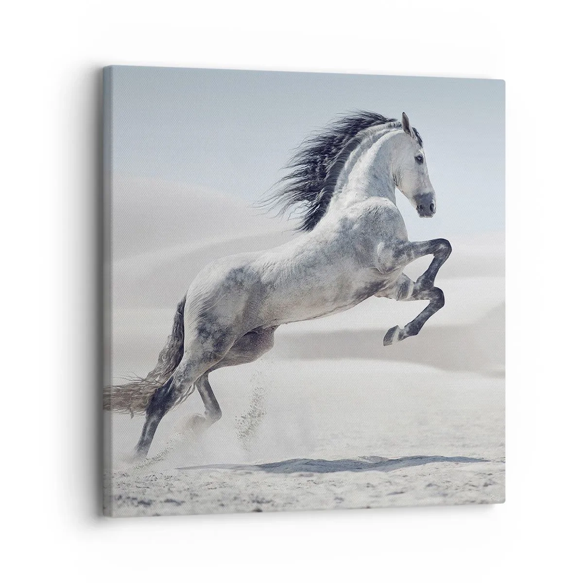 Vászonkép - arab herceg - 30x30 cm