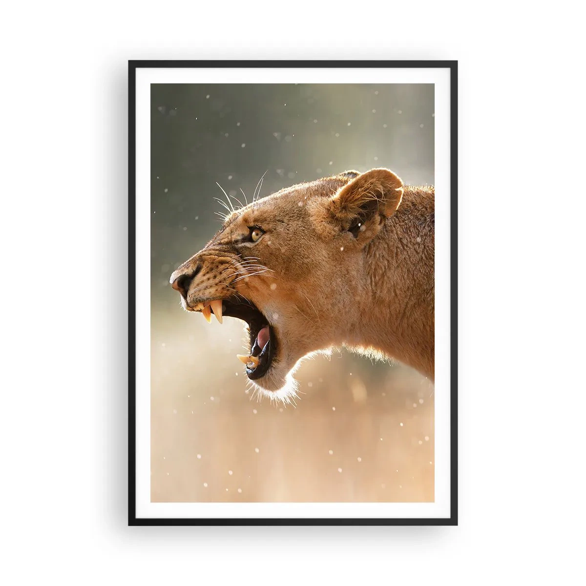 Poszter fehér keretben - Próbálj meg nem hallgatni - 70x100 cm