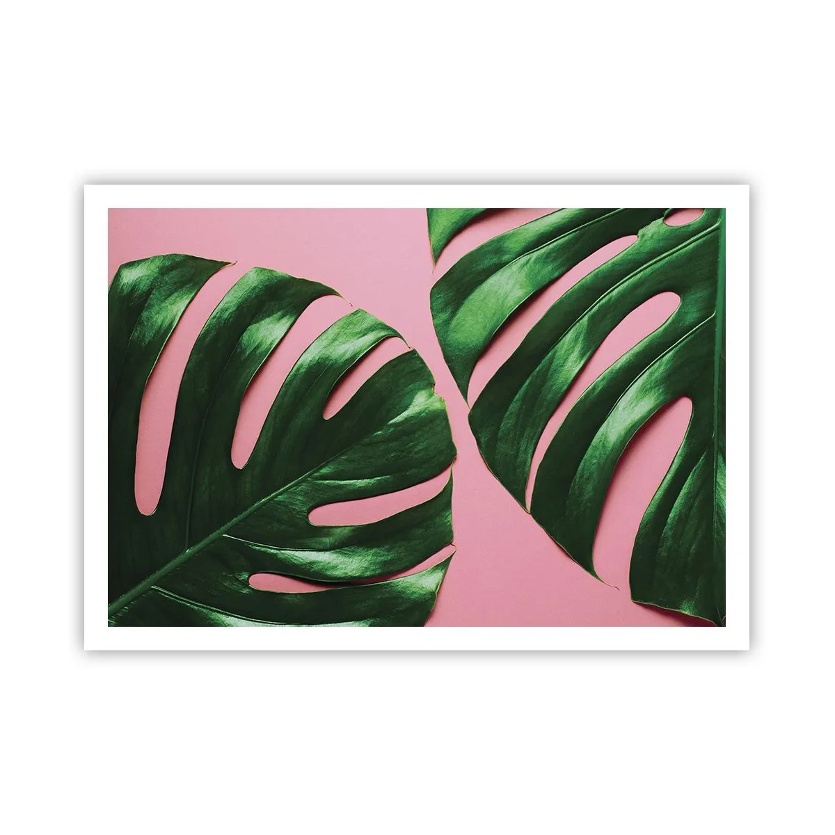 Poszter - Zöld rendez-vous - 100x70 cm
