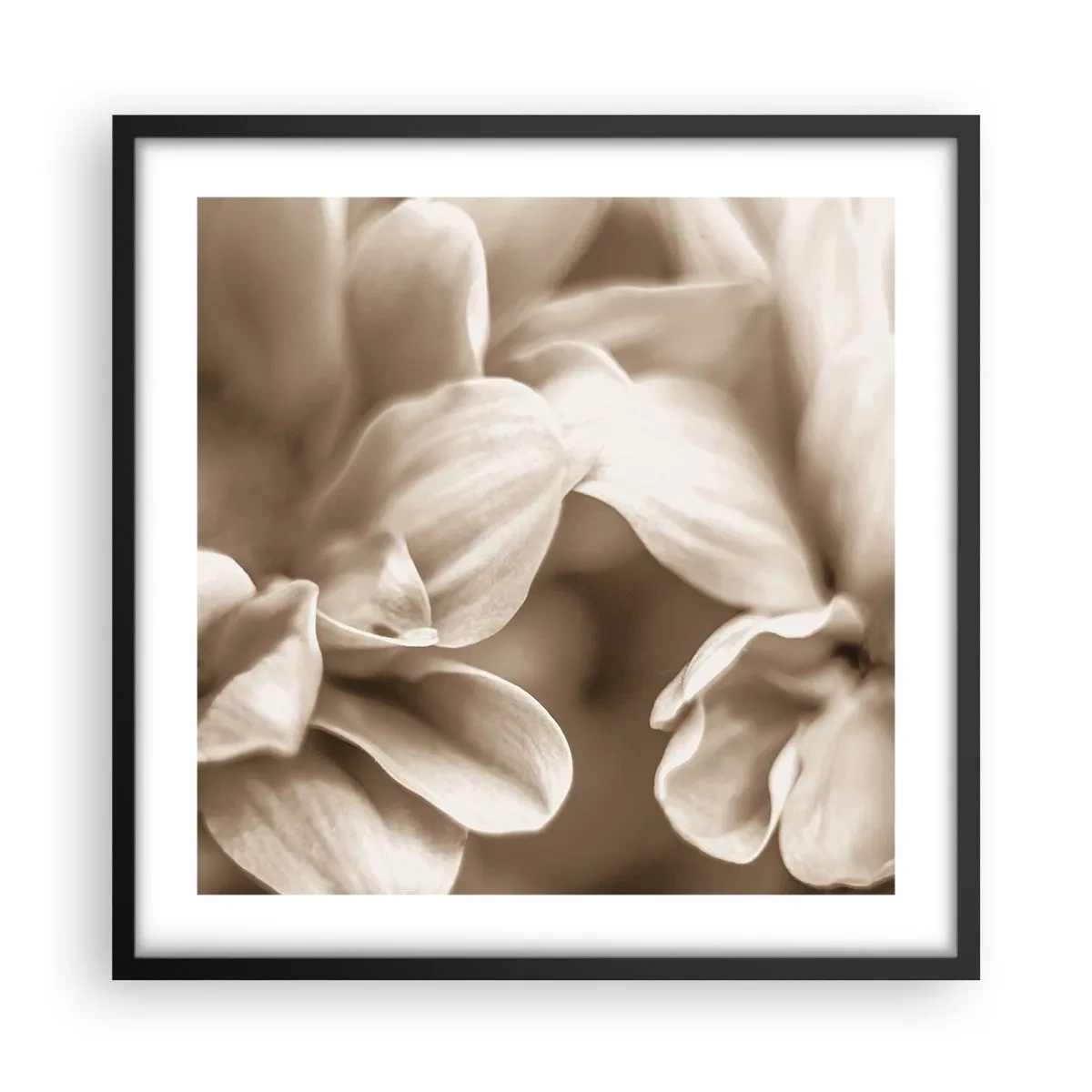 Poszter fehér keretben - Gyengéd, mint egy mosoly - 50x50 cm