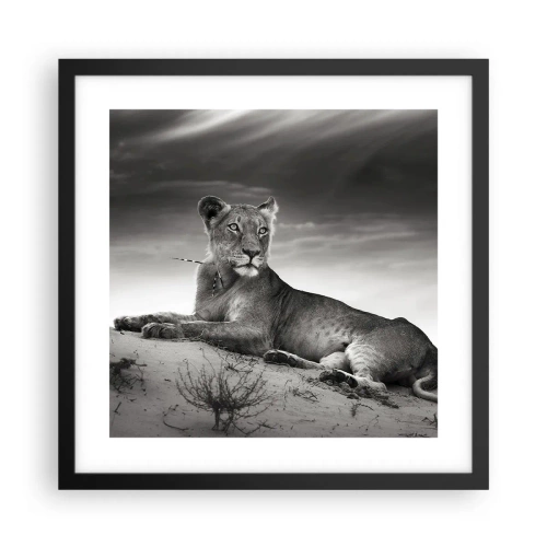 Poszter fehér keretben - A sivatagi királynő pihenése - 40x40 cm