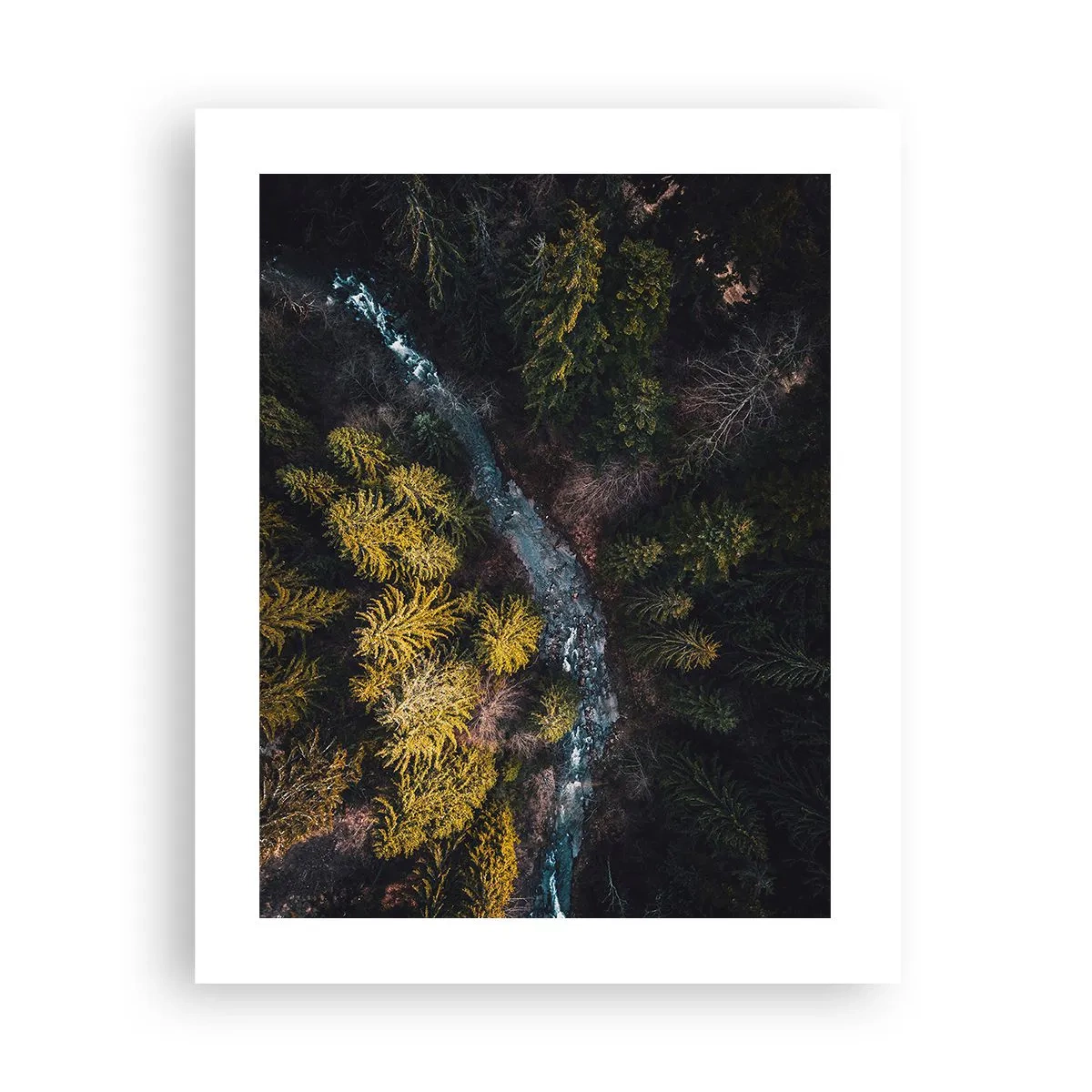 Poszter - Gyorsan, egyre gyorsabban - 40x50 cm