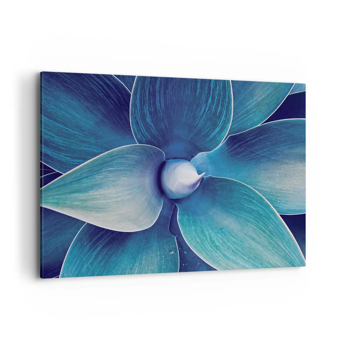 Vászonkép - Kékezve az égből - 100x70 cm