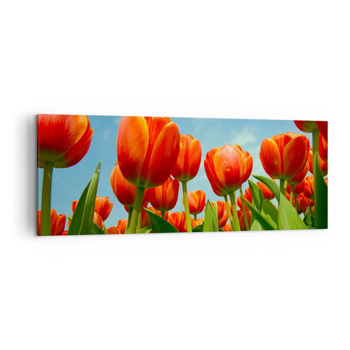 Vászonkép - A kék égen kívül semmire sincs szükségük az életükben - 140x50 cm