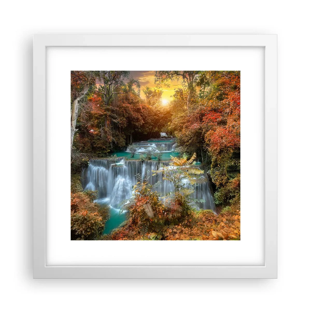 Poszter fekete keretben - Az erdő rejtett kincse - 30x30 cm