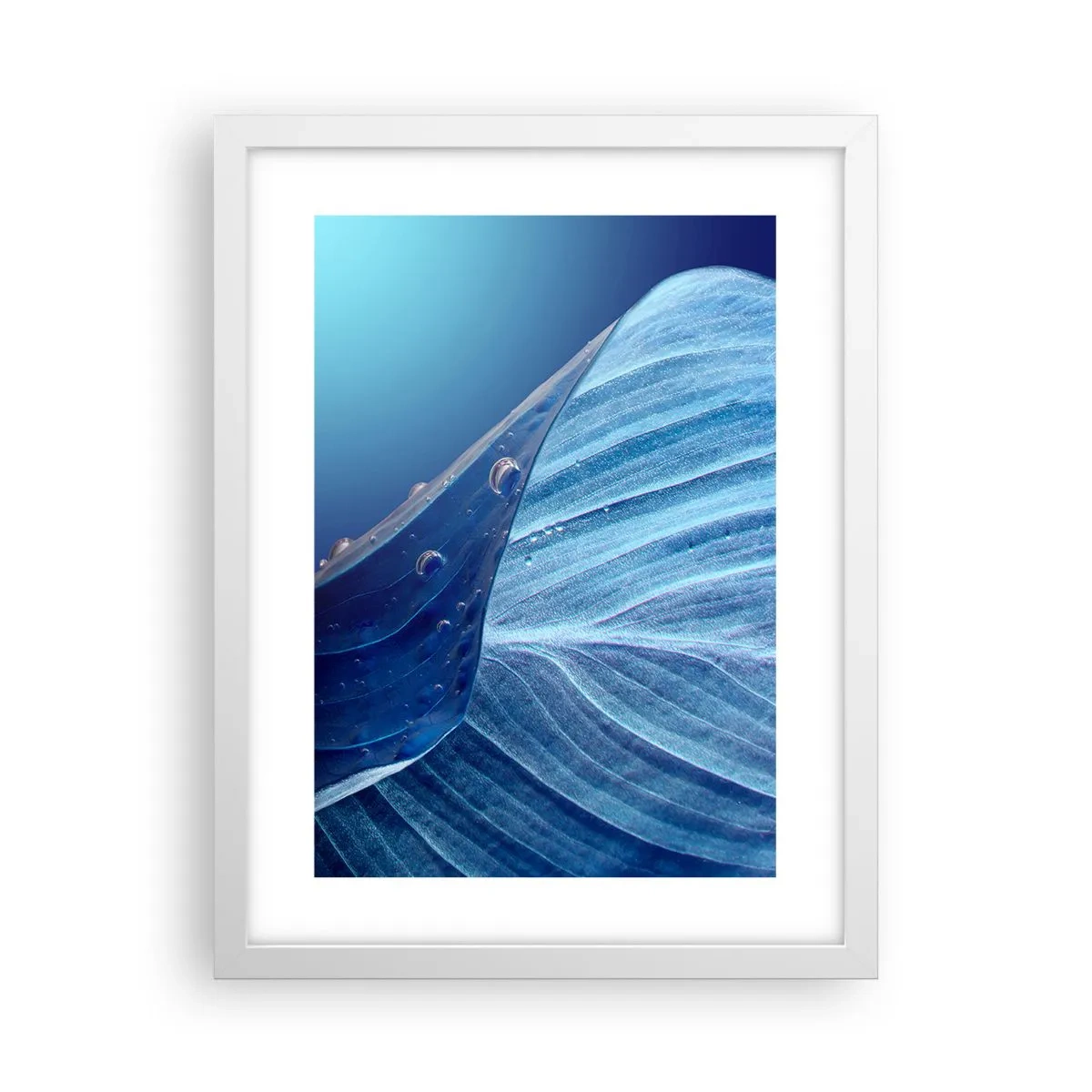 Poszter fekete keretben - A kék rejtett cseppjei - 30x40 cm