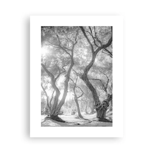 Poszter - Egy olajfaligetben - 30x40 cm