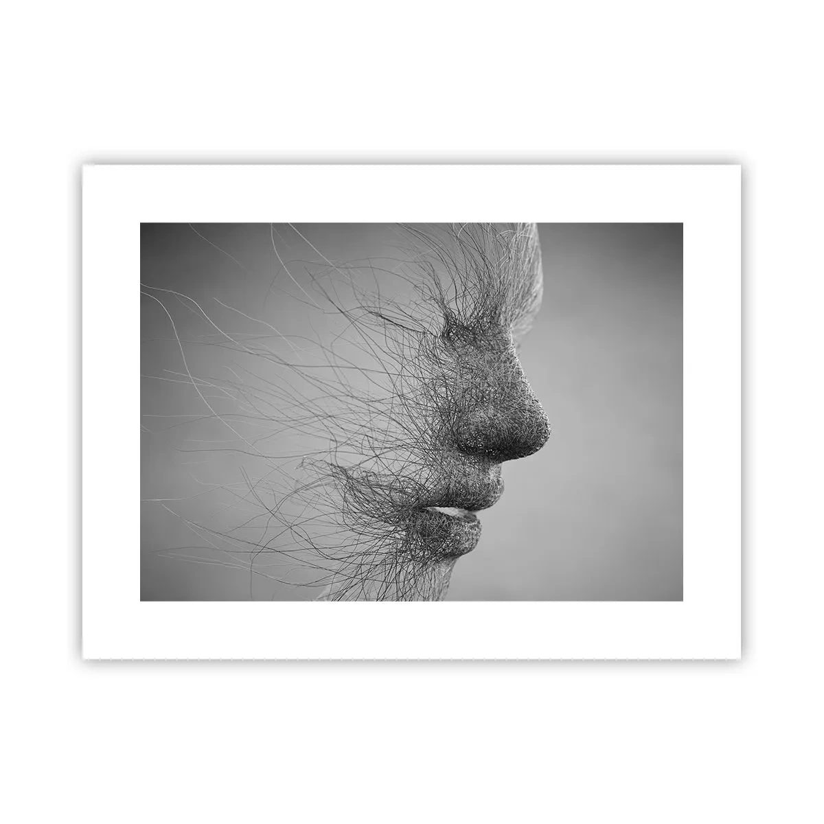 Poszter - A szél szelleme - 40x30 cm