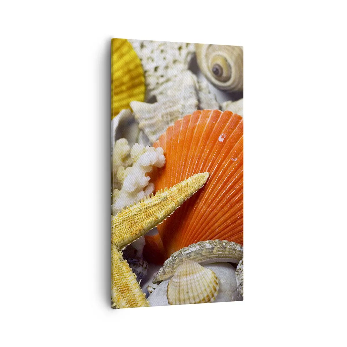 Vászonkép - Óceán kincsei - 55x100 cm