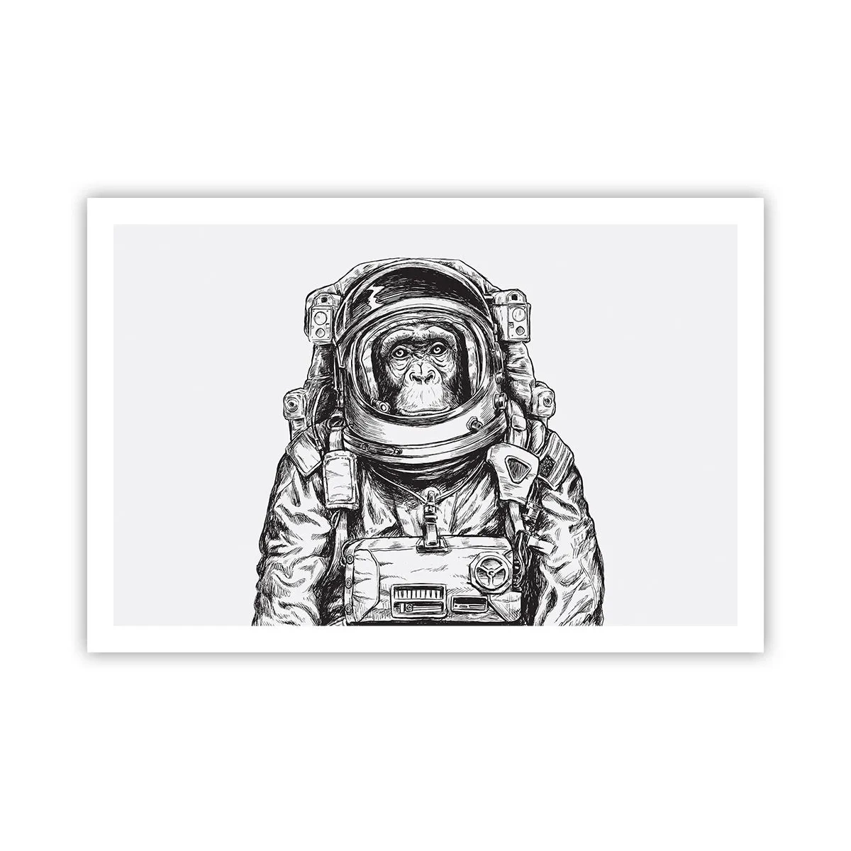 Poszter - Alternatív evolúció - 91x61 cm