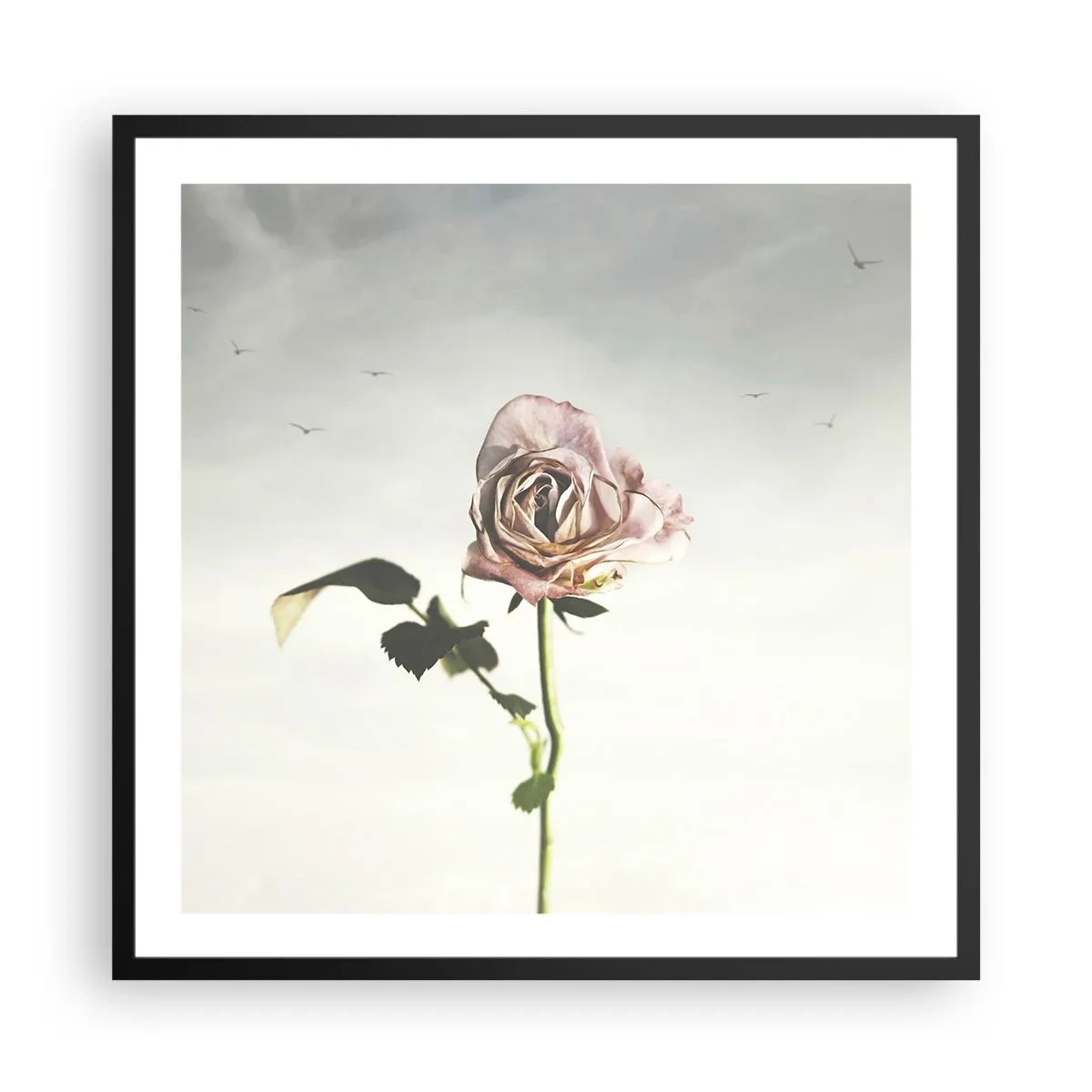 Poszter fehér keretben - Tavasz üdvözlése - 60x60 cm