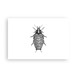 Poszter - Micsoda példány! - 91x61 cm