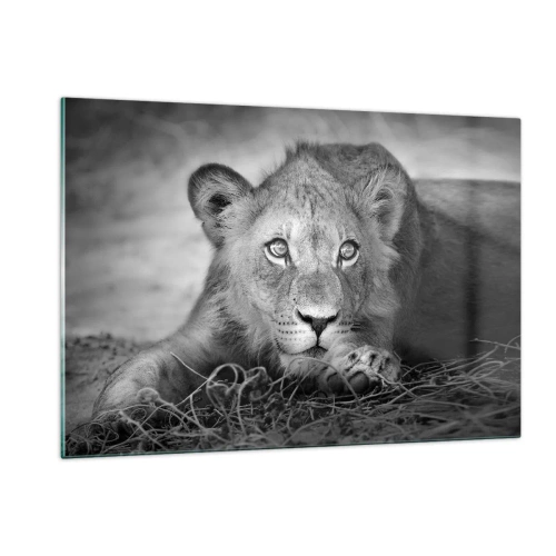 Üveg kép - Királyi kölyök - 120x80 cm