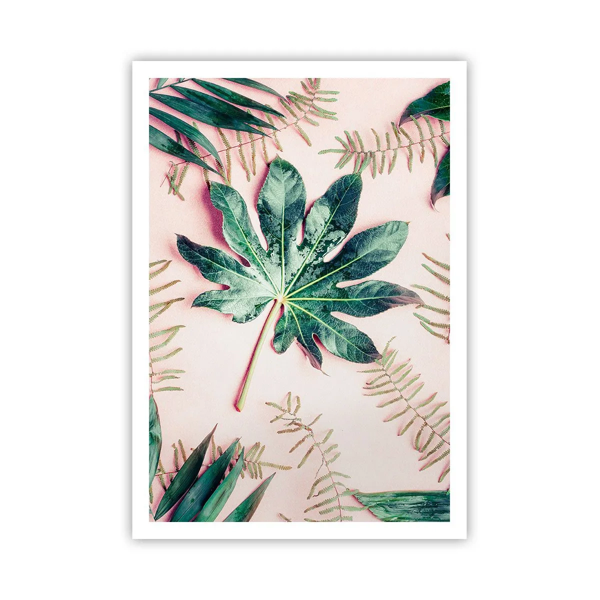 Poszter - A zöld tanulmánya a rózsaszín háttérben - 70x100 cm