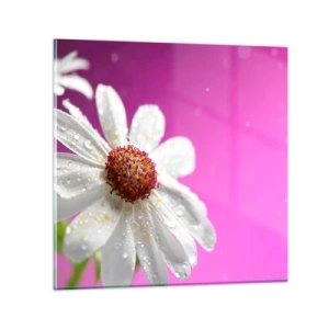 Üveg kép - A Szépségében szerény - 60x60 cm