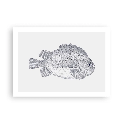 Poszter - A természettudós albumába - 70x50 cm