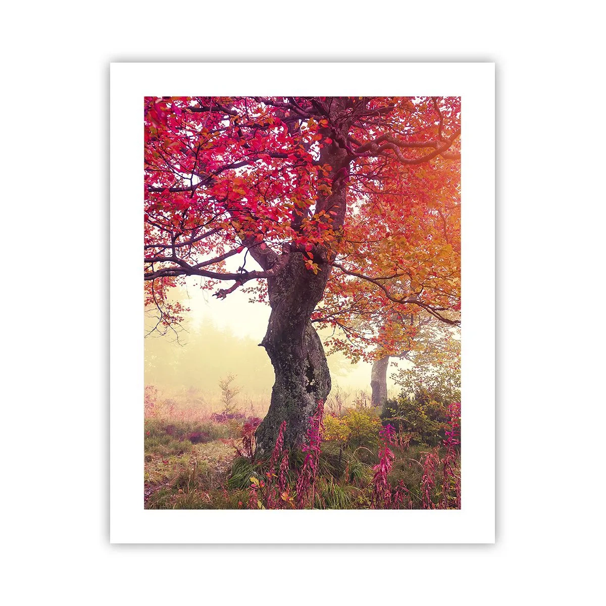 Poszter - Virágzás őrülete - 40x50 cm