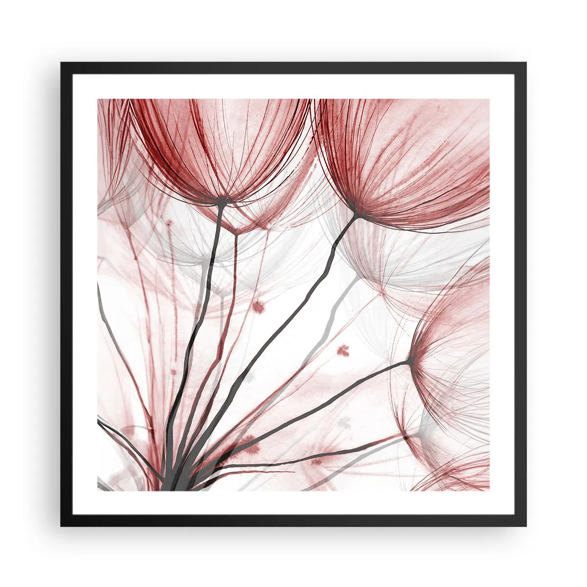 Poszter fehér keretben - Felszállás előtt - 60x60 cm