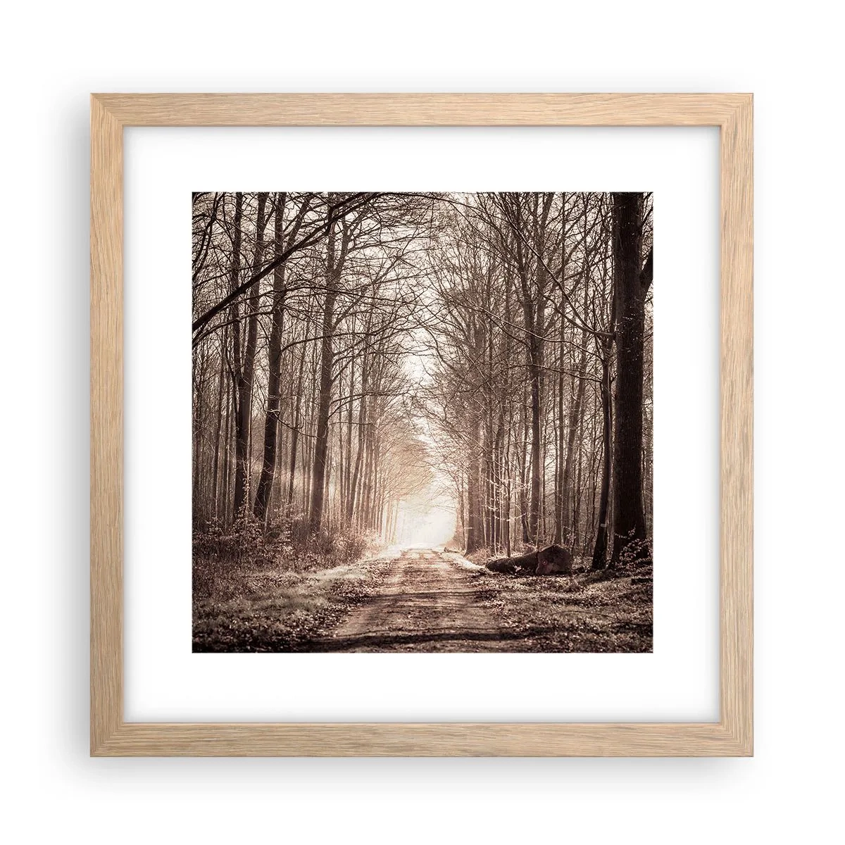 Poszter világos tölgy keretben - Erdei katedrális - 30x30 cm