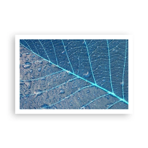 Poszter - Az élet kékben - 91x61 cm