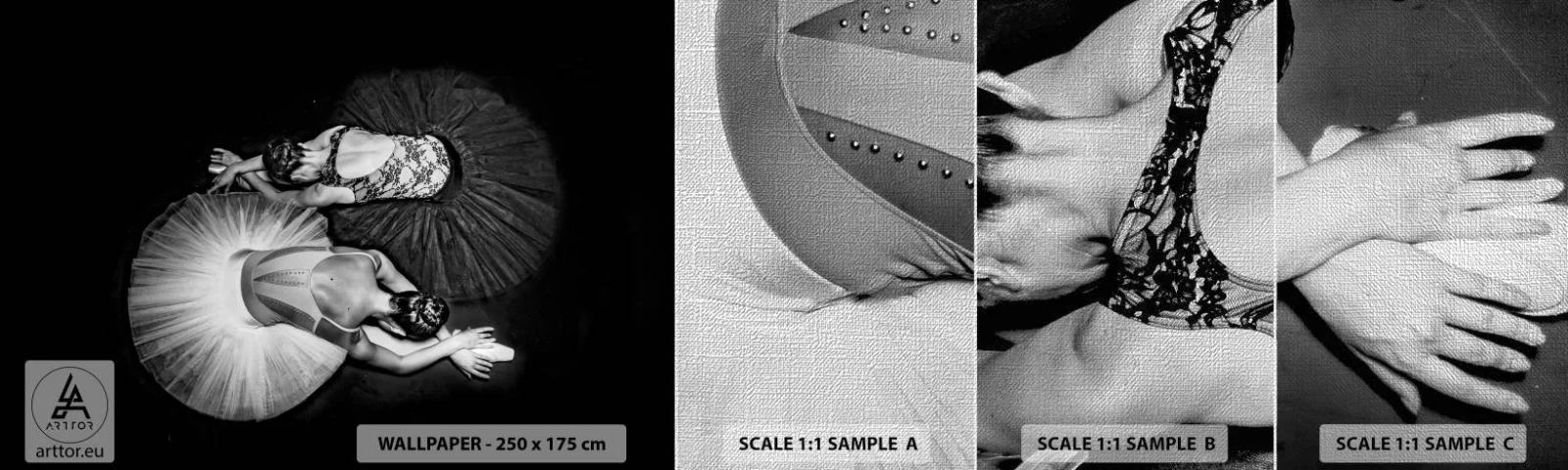 Fotótapéta Minta Premium Canvas - Jin és jang – tökéletes egyensúly - Balerina, Balett, Tánc - 100x30 cm