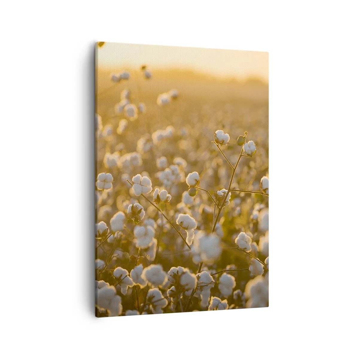 Vászonkép - Puha mező - 50x70 cm