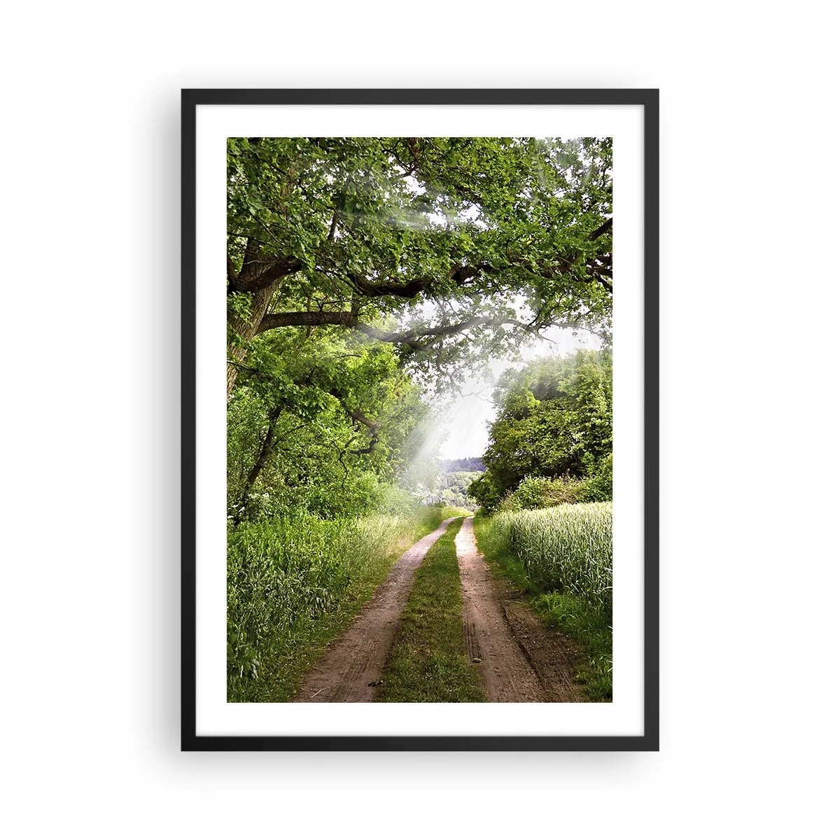 Poszter fehér keretben - Árnyékos földút, buja zöld fákkal és rétekkel körülvéve - 50x70cm - Et in Arcadia ego - Modern fali dekoráció nappalihoz és hálószobához ARTTOR