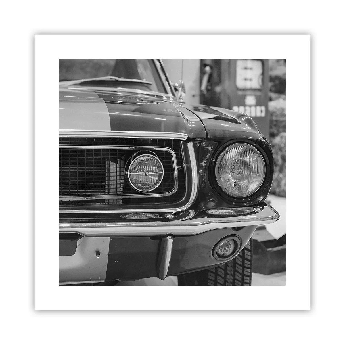 Poszter - Vad utazás - 40x40 cm