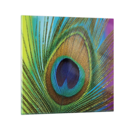 Üveg kép - Szemtől szemben - 70x70 cm