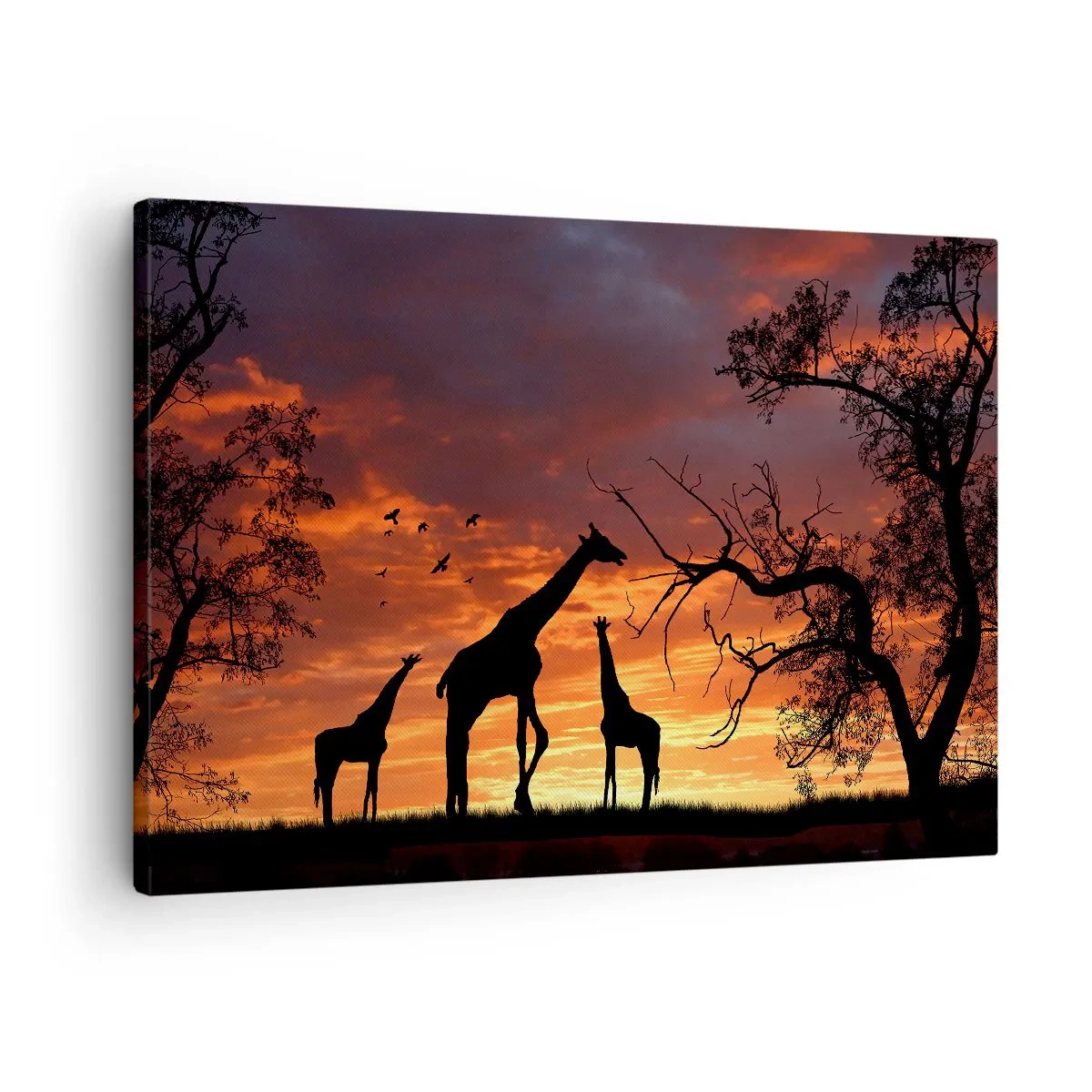 Vászonkép - Zsiráfok sziluettjei az afrikai naplemente hátterében - 70x50cm - Egy kis vacsora szeretteivel - Modern fali dekoráció nappalihoz és hálószobához ARTTOR