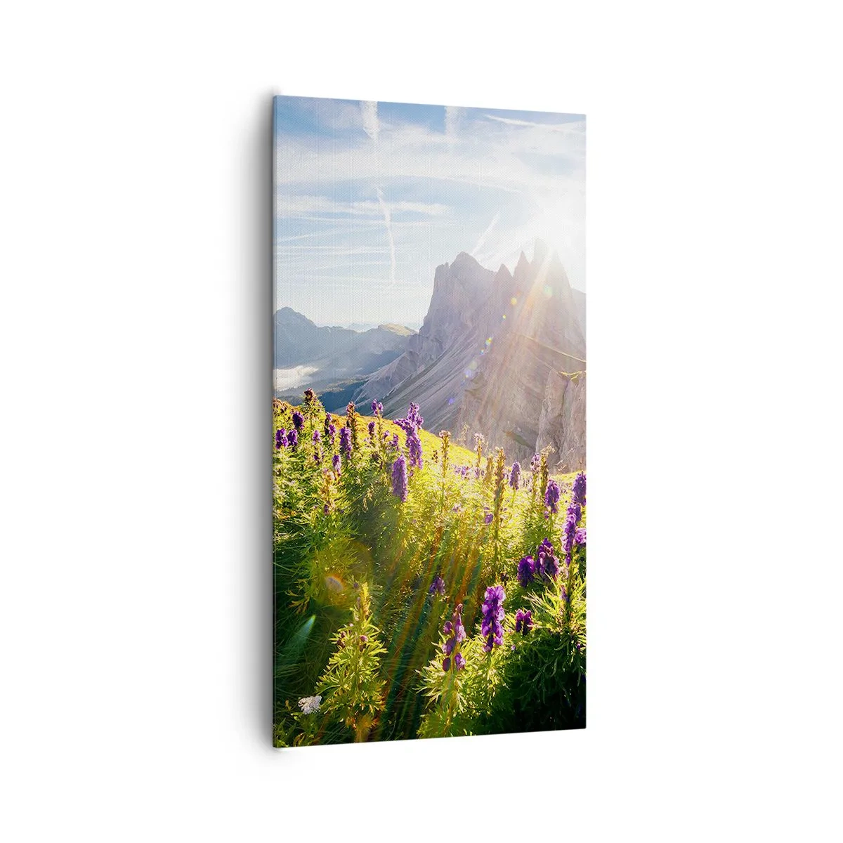 Vászonkép - A gyógynövények titkos élete - 65x120 cm