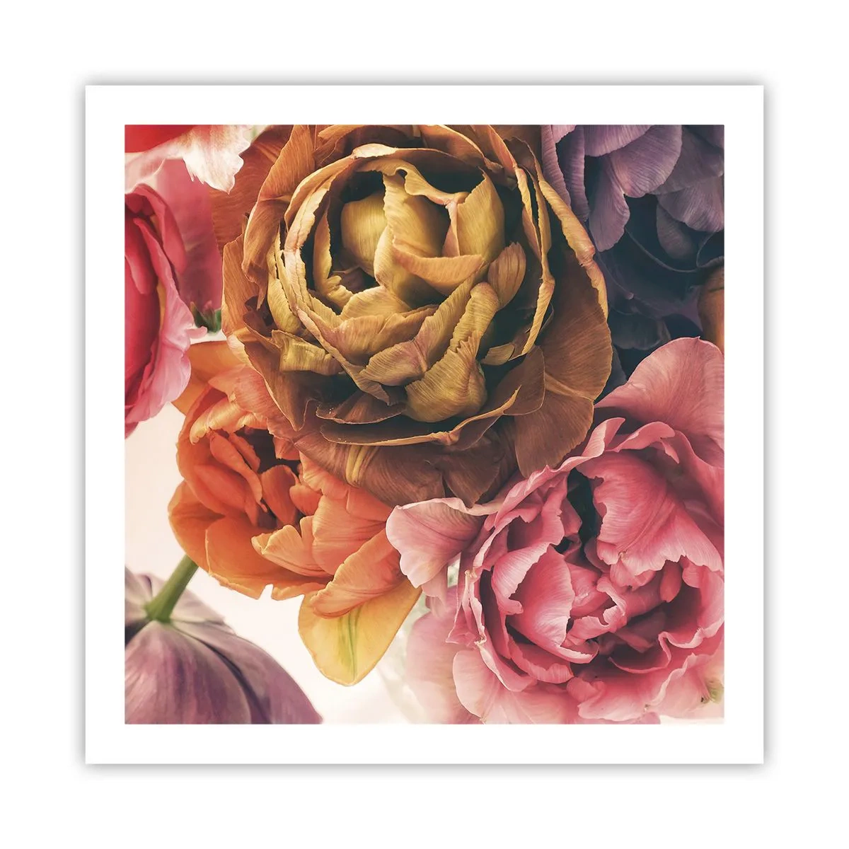 Poszter - Az élet ünnepe - 60x60 cm