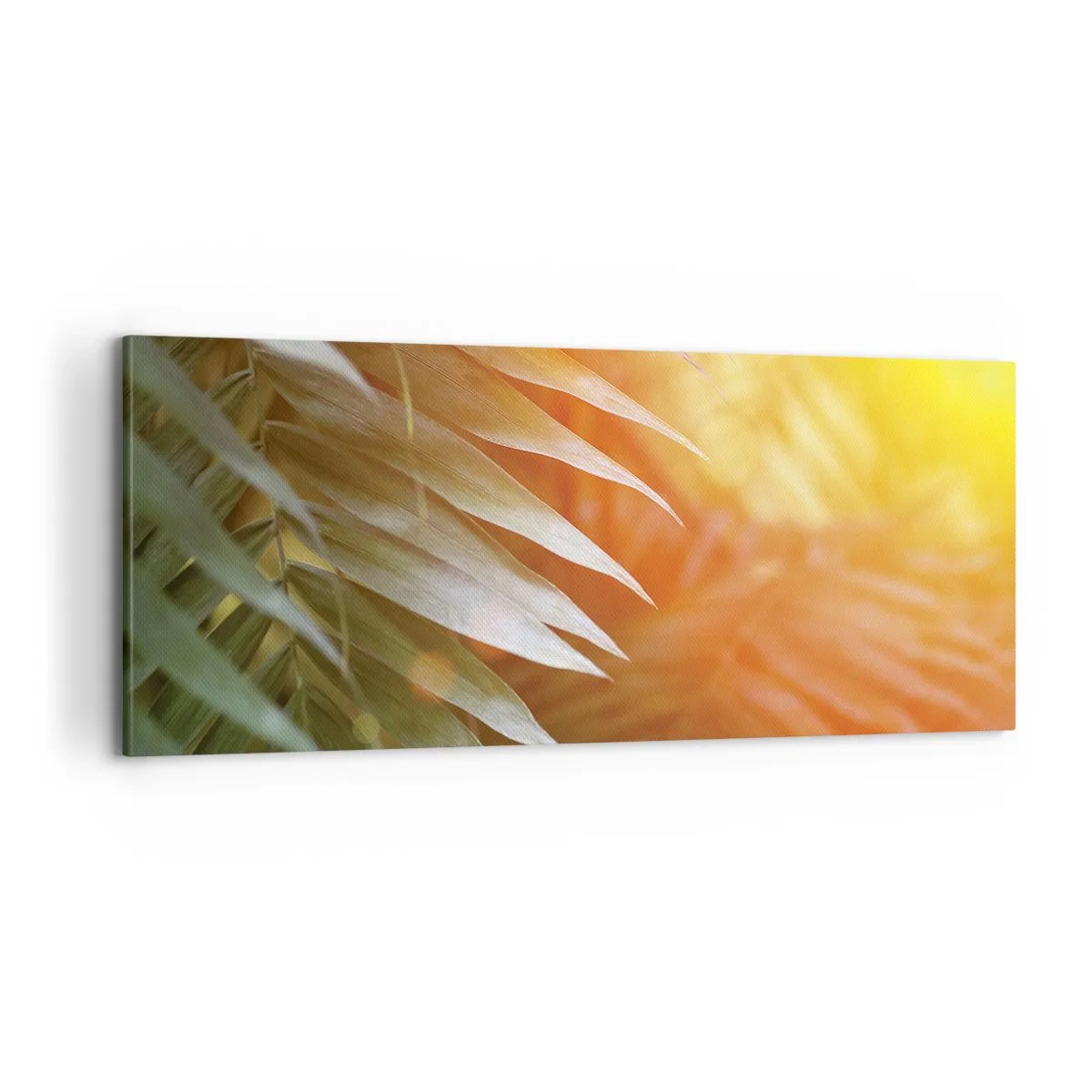 Vászonkép - Reggel a dzsungelben - 100x40 cm