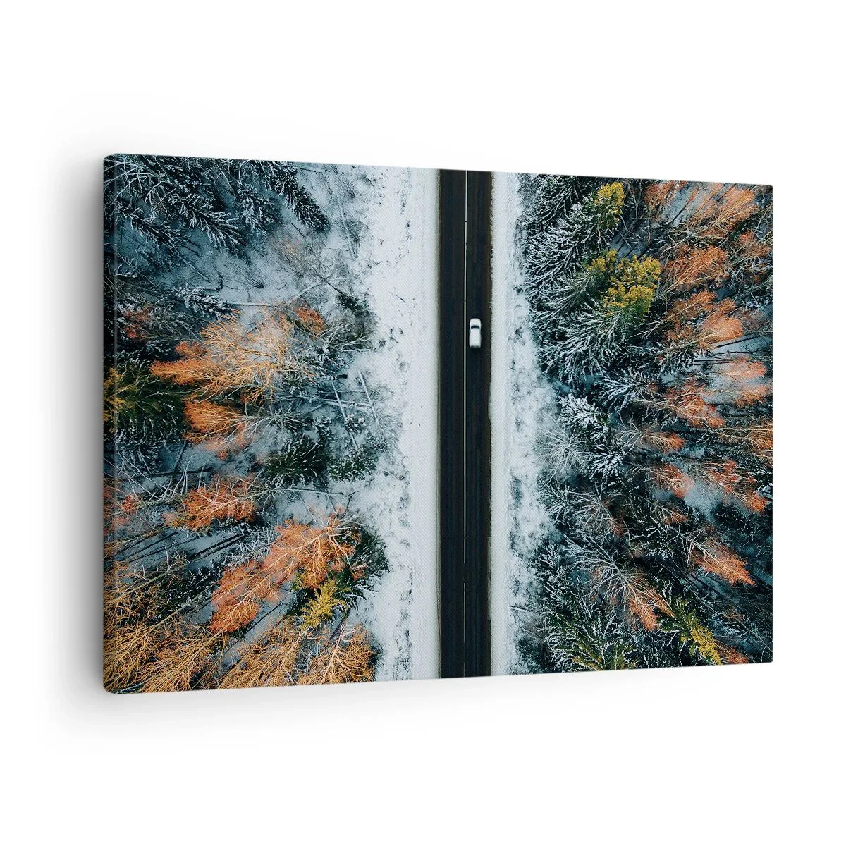 Vászonkép - Egy út egy téli erdőn keresztül madártávlatból - 70x50cm - Átvágni a téli erdőn - Modern fali dekoráció nappalihoz és hálószobához ARTTOR