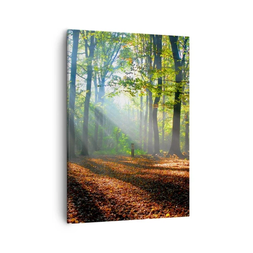 Vászonkép - Ragyogások és árnyékok - 50x70 cm