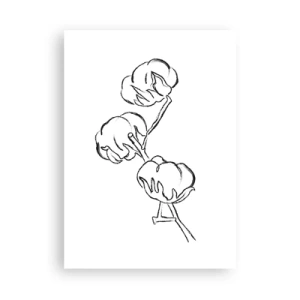 Poszter - Pamut pehely - 50x70 cm