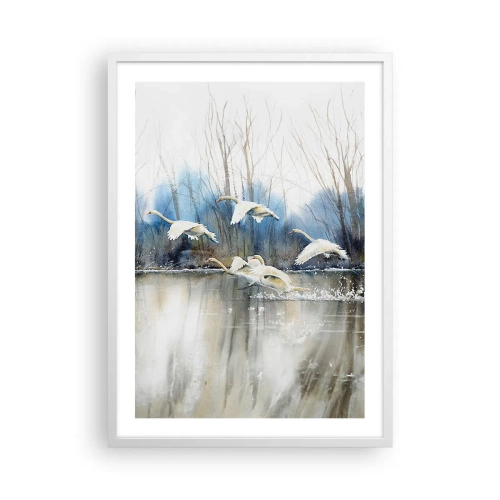 Poszter fekete keretben - Mint a vadhattyúkról szóló mesében - 50x70 cm