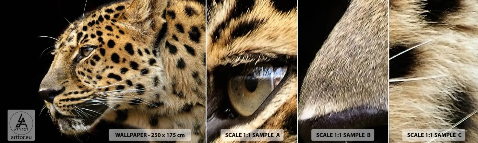 Fotótapéta Minta Standard Eco - Nyugodt, koncentrált, kész - Állatok, leopárd, Afrika - 100x30 cm