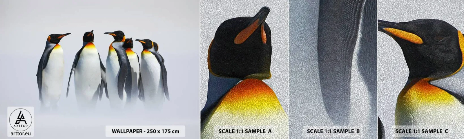 Fotótapéta Minta Premium Sand - Találkozás éjszakai ruhában - Állatok, Pingvin, Természet - 100x30 cm