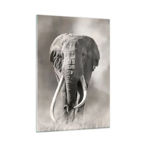 Üveg kép - Afrikai patriarcha - 50x70 cm