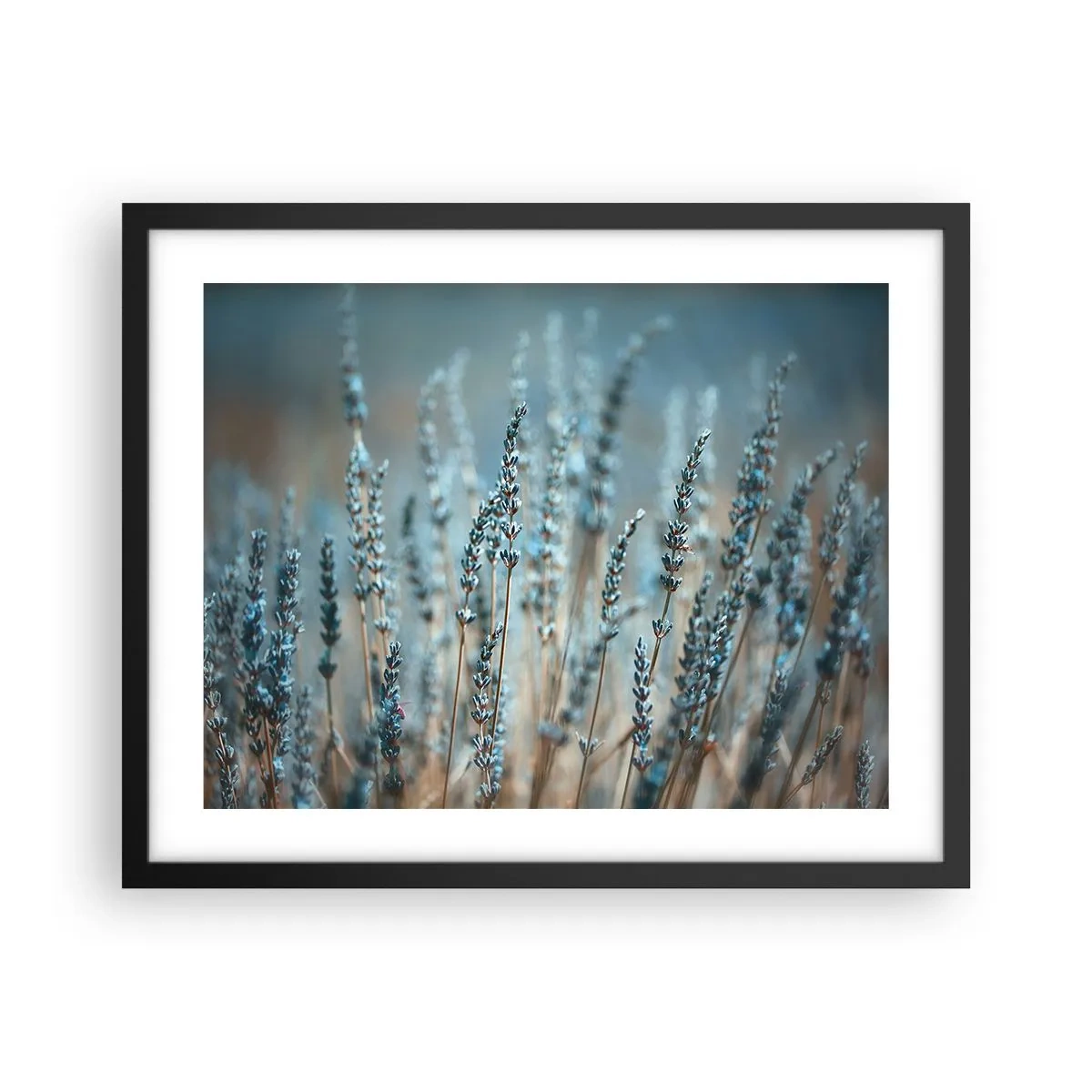 Poszter fehér keretben - Illatos szálak - 50x40 cm
