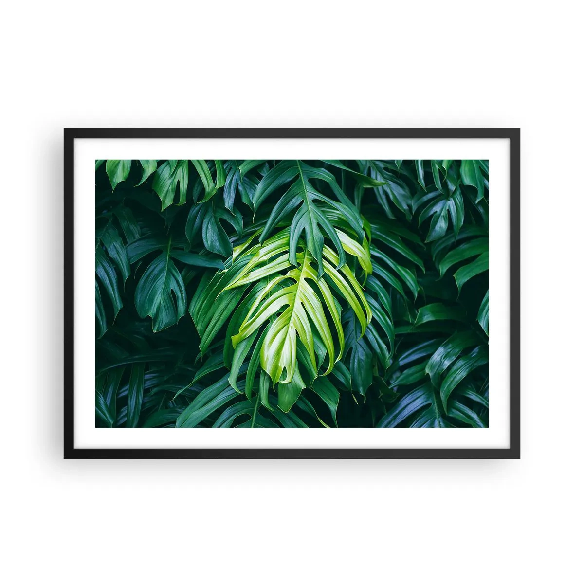 Poszter fehér keretben - Merüljön el a frissességben - 70x50 cm