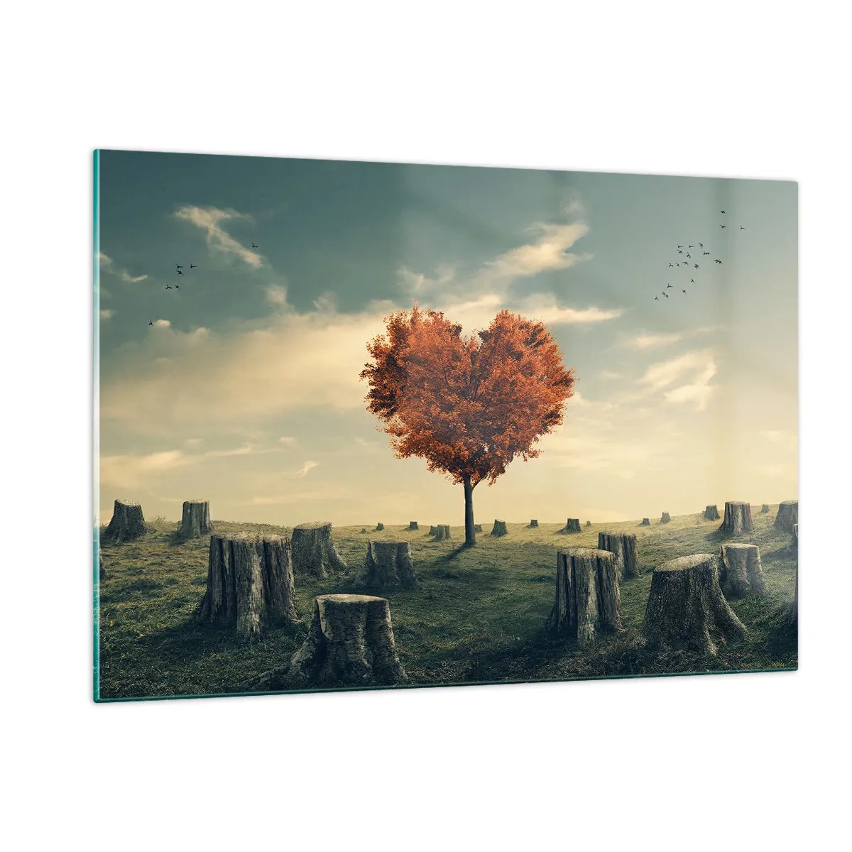 Üveg kép - Még mindig van remény - 120x80 cm