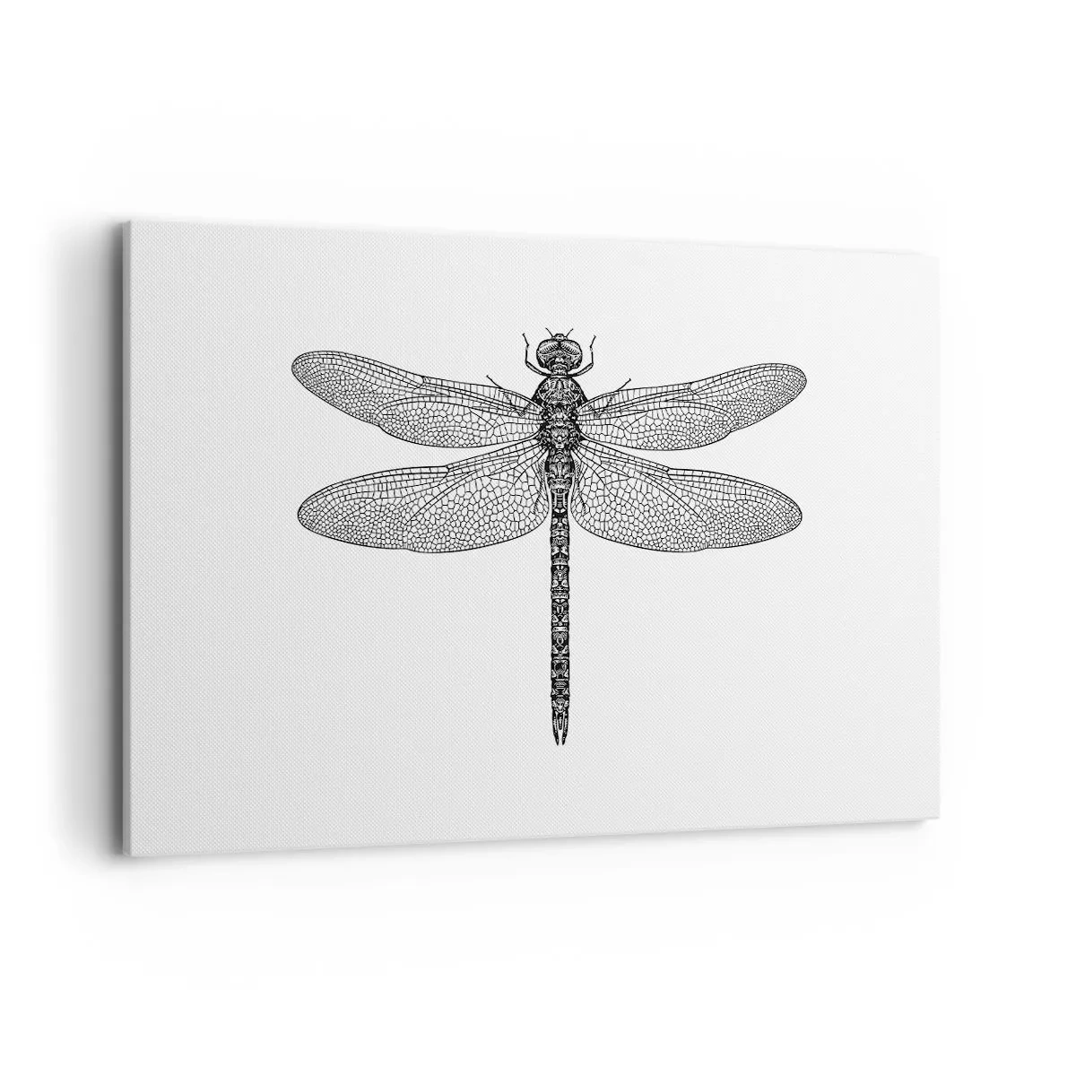 Vászonkép - A természet precizitása - 120x80 cm