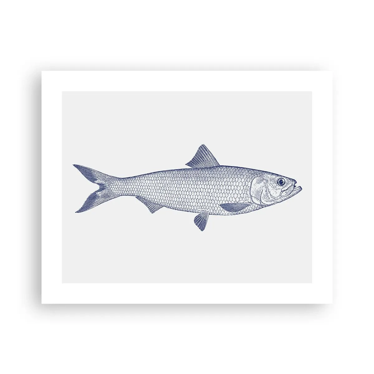 Poszter - Üdvözlet az északi tengerektől - 50x40 cm