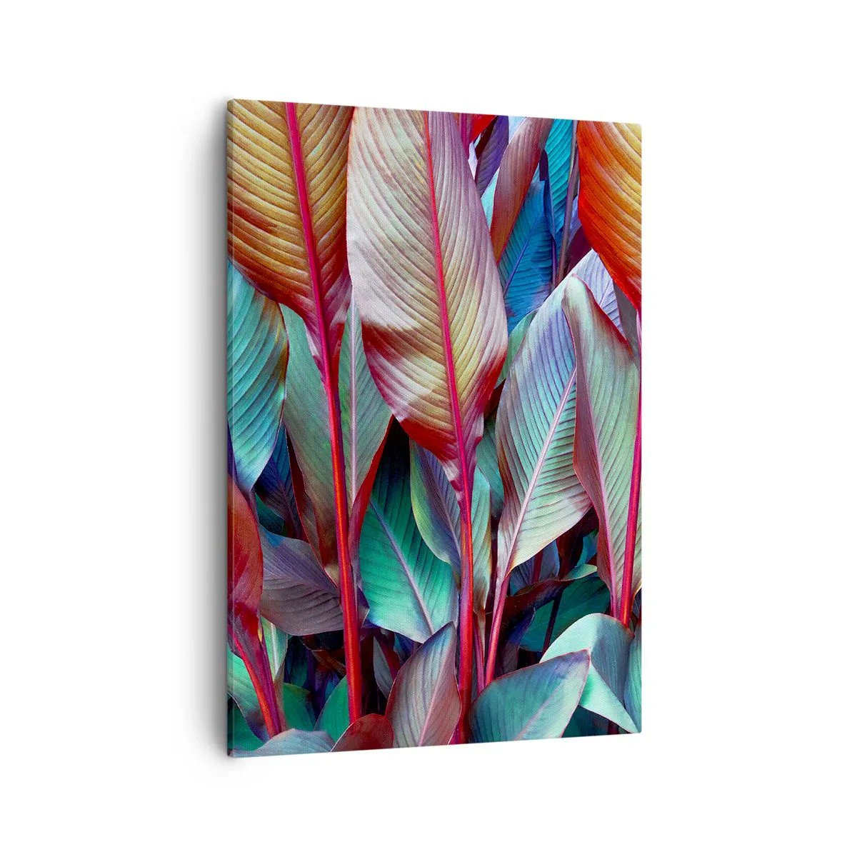 Vászonkép - Egy színes sűrű - 50x70 cm