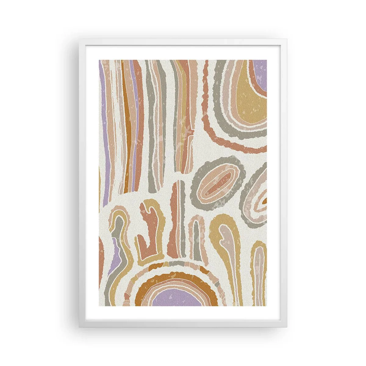 Poszter fekete keretben - Színes keresztmetszetek - 50x70 cm