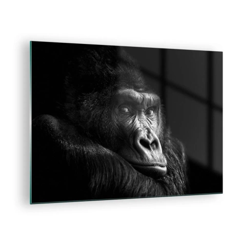 Üveg kép - Fekete-fehér portré egy gorillaról egy ablak árnyékában - 70x50cm - Mit bámulsz? - Modern fali dekoráció nappalihoz és hálószobához ARTTOR